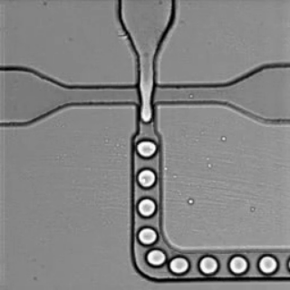 Droplet Generation